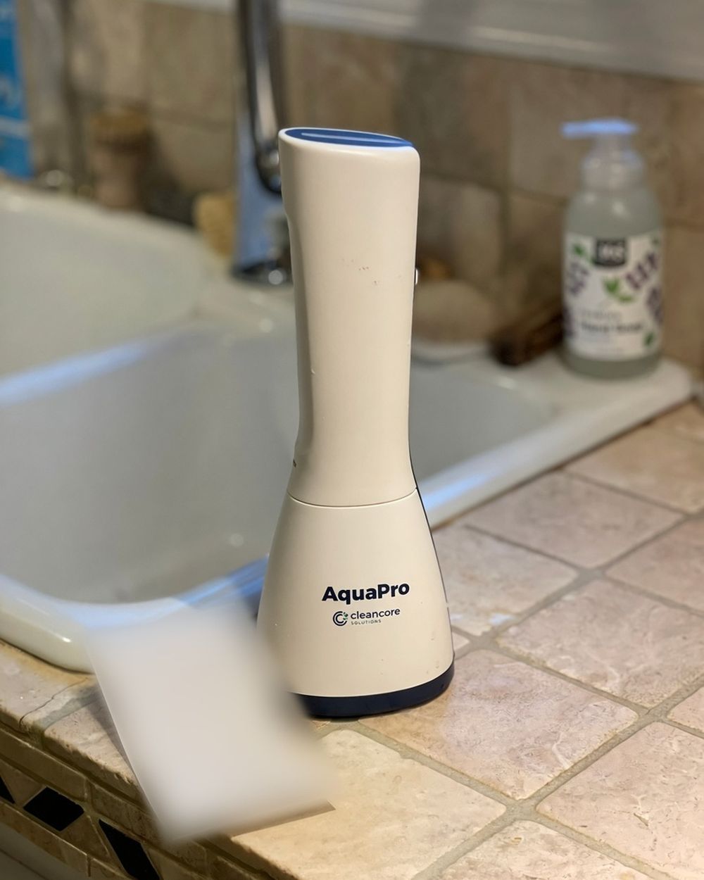 AquaPro beside a kitchen sink and sponge